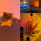 Enchanting Multicolor Sunset Projector Lamp