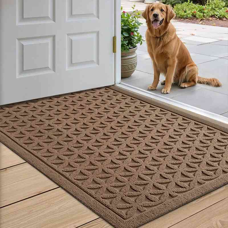 Elegant Quick-Dry Water-Absorbent Entry Mat