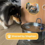 Automatic Stainless Steel Drinking Bowl for Pets - Water Fountain