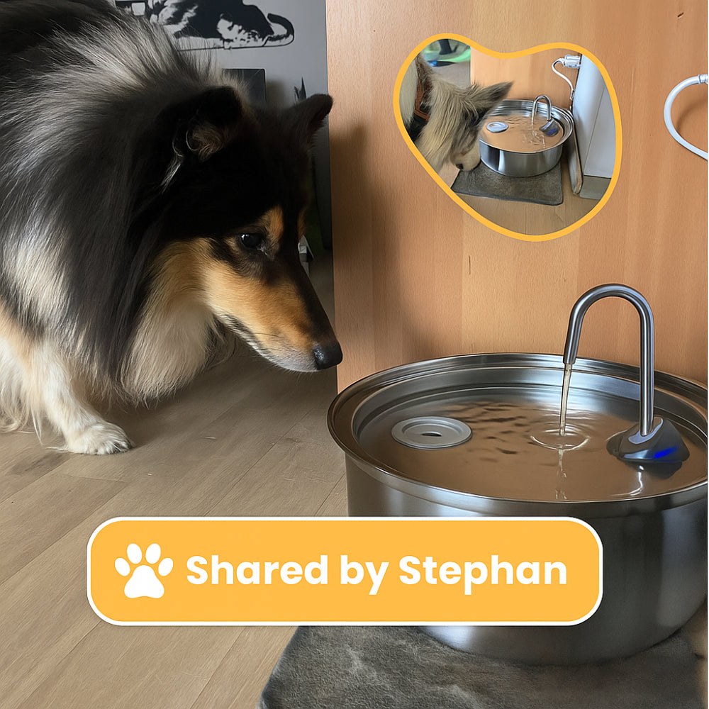 Automatic Stainless Steel Drinking Bowl for Pets - Water Fountain