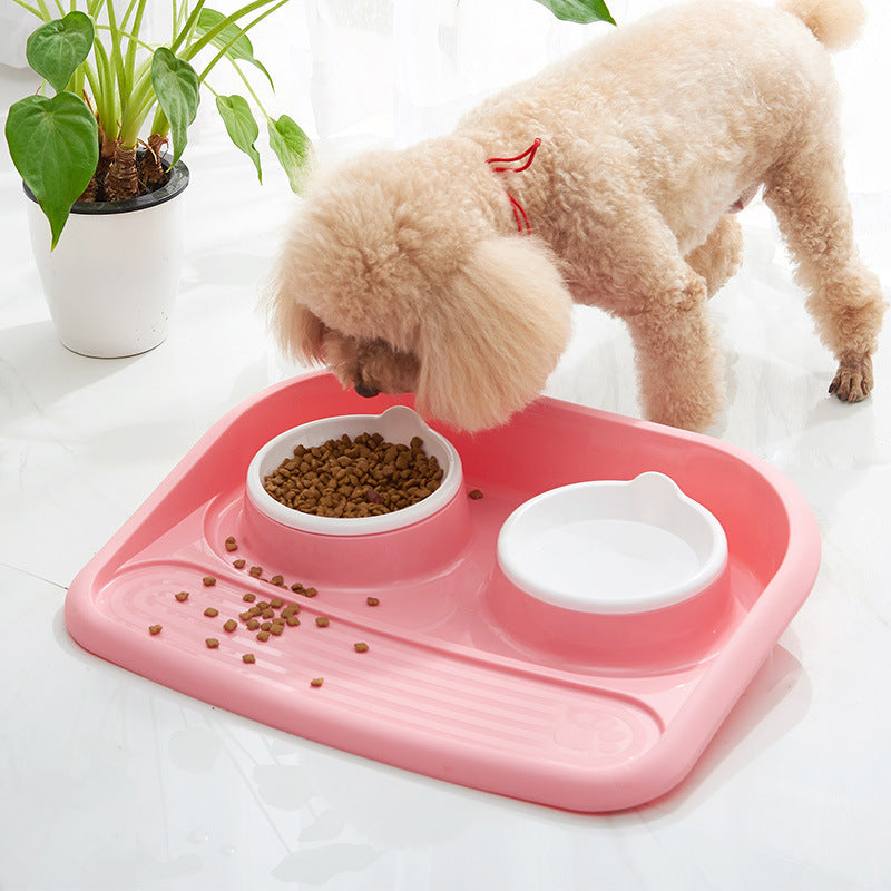 Sustainable Double Pet Dish for Effortless Dining