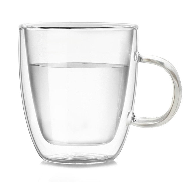 Chic Insulated Glass Beverage Mugs
