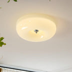 Sleek Modern Flush Mount Lighting Fixture