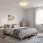 Sleek Modern Flush Mount Lighting Fixture