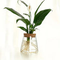 Stylish Glass Plant Growth Station