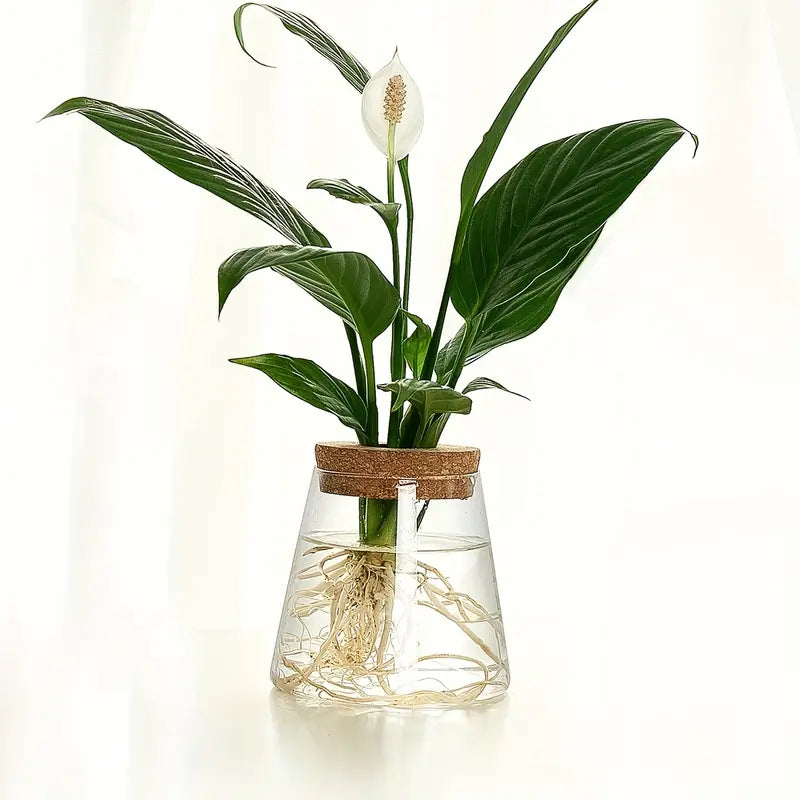 Stylish Glass Plant Growth Station