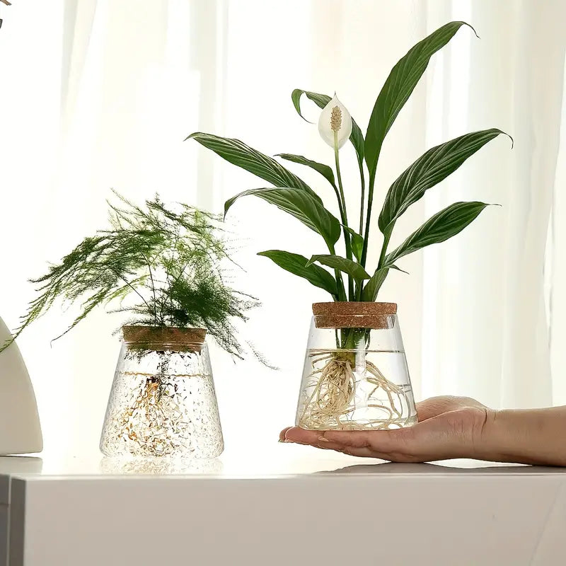 Stylish Glass Plant Growth Station