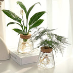 Stylish Glass Plant Growth Station