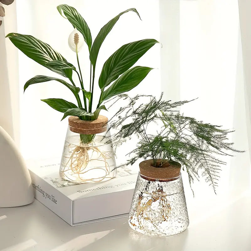 Stylish Glass Plant Growth Station