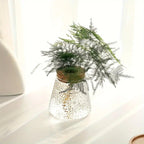 Stylish Glass Plant Growth Station