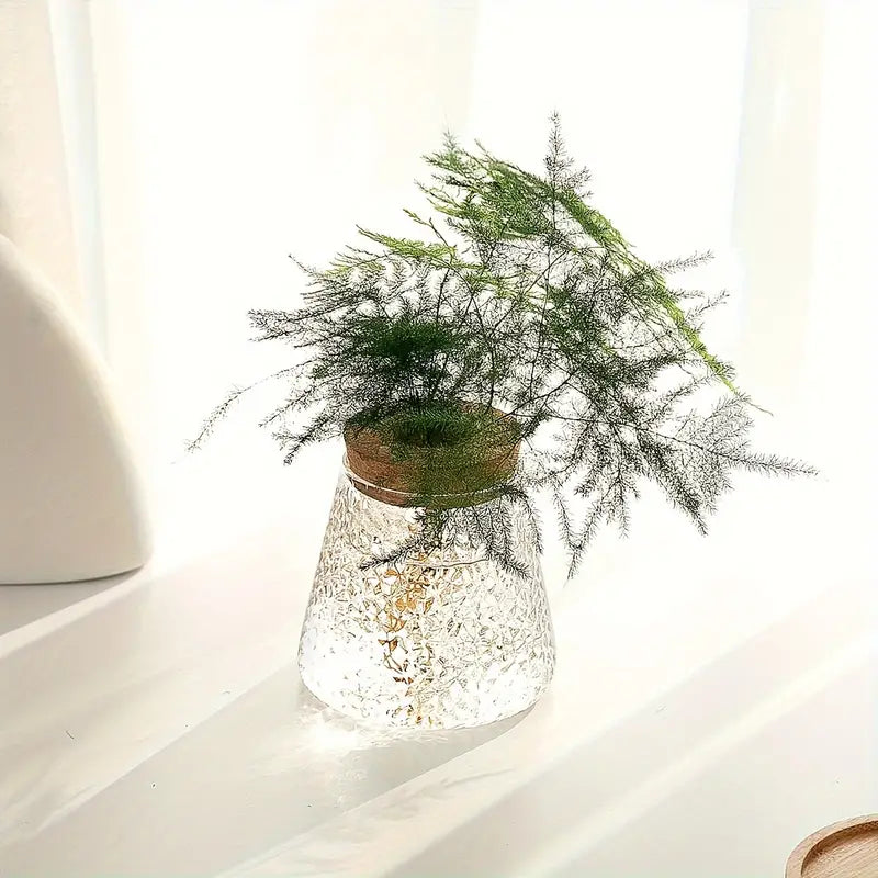 Stylish Glass Plant Growth Station