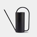 Chic Stainless Steel Indoor Plant Watering Can