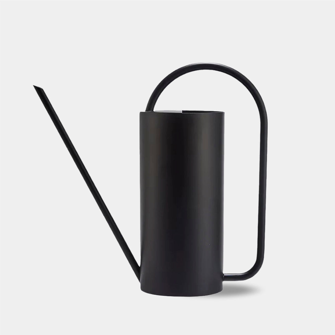 Chic Stainless Steel Indoor Plant Watering Can
