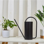 Chic Stainless Steel Indoor Plant Watering Can