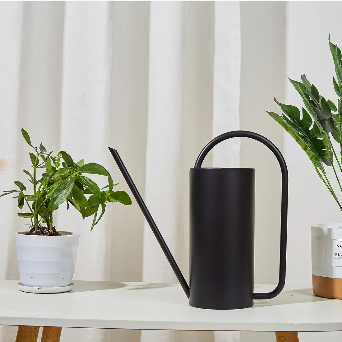Chic Stainless Steel Indoor Plant Watering Can
