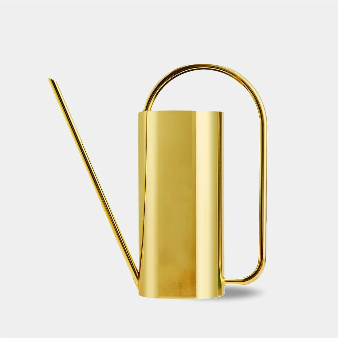 Chic Stainless Steel Indoor Plant Watering Can