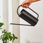 Chic Stainless Steel Indoor Plant Watering Can
