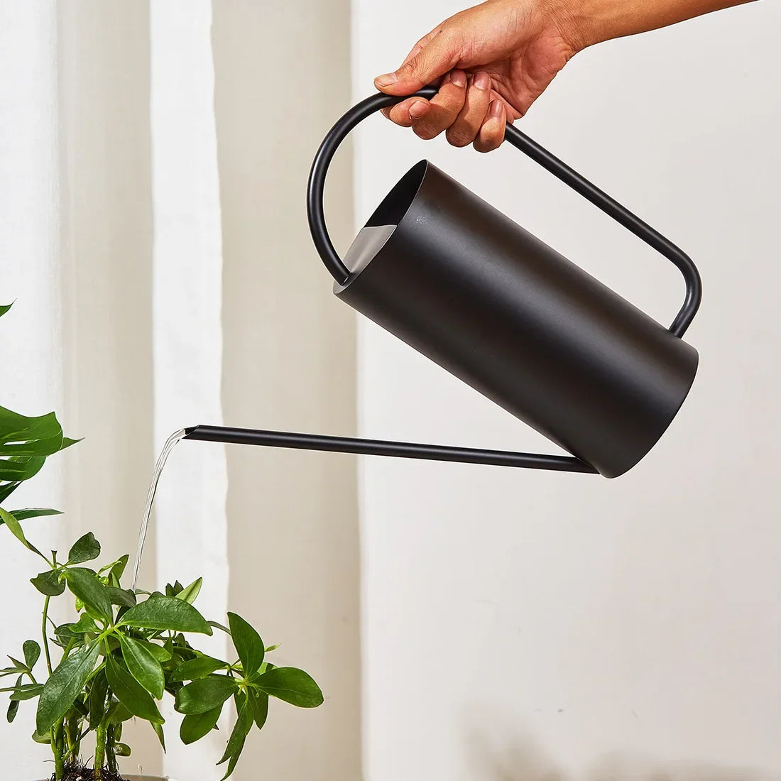Chic Stainless Steel Indoor Plant Watering Can