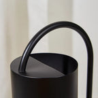 Chic Stainless Steel Indoor Plant Watering Can