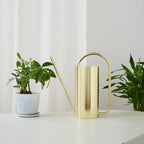 Chic Stainless Steel Indoor Plant Watering Can
