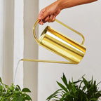 Chic Stainless Steel Indoor Plant Watering Can