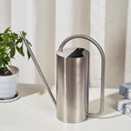 Chic Stainless Steel Indoor Plant Watering Can