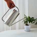 Chic Stainless Steel Indoor Plant Watering Can
