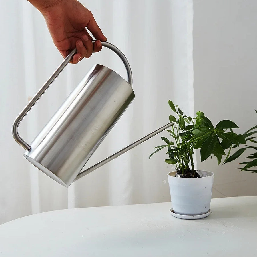 Chic Stainless Steel Indoor Plant Watering Can
