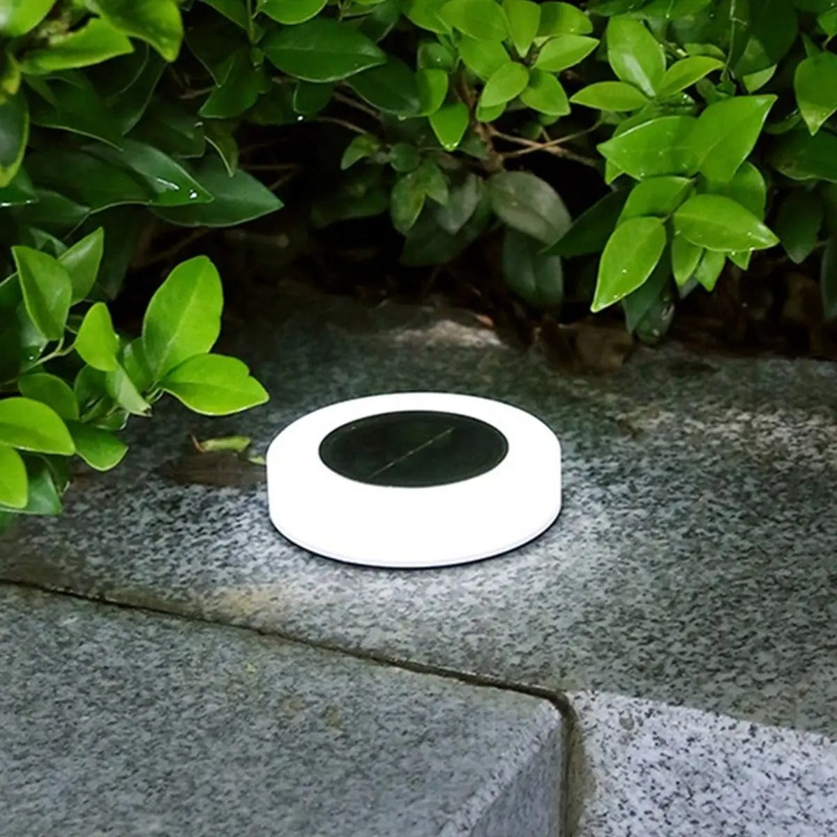 Solar Garden Lights – Eco-Friendly Outdoor Illumination with Auto Dusk-to-Dawn Feature