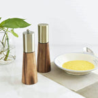 Stylish Wooden Salt and Pepper Set