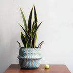 Woven Plant Basket for Storage – Bohemian Decorative Accent