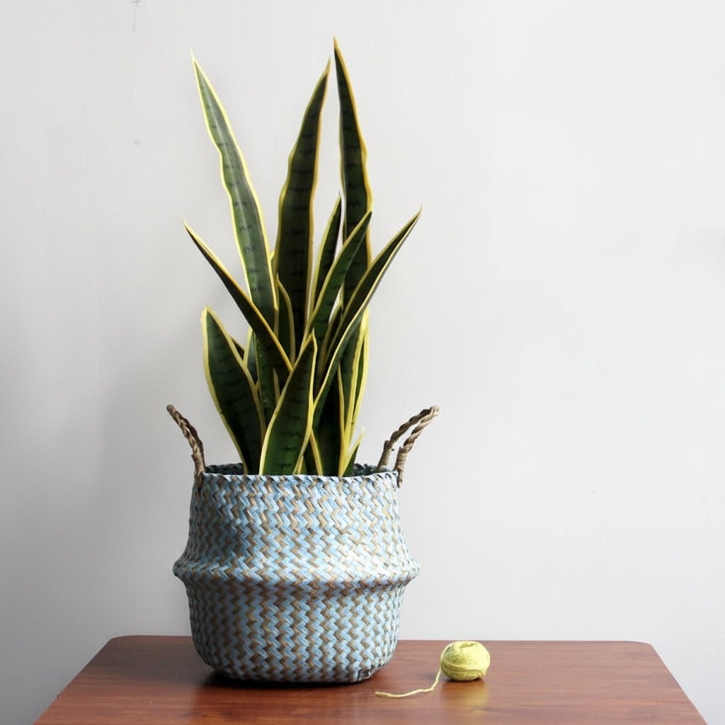 Woven Plant Basket for Storage – Bohemian Decorative Accent