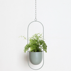 Modern Minimalist Iron Hanging Planter for Indoor Plants
