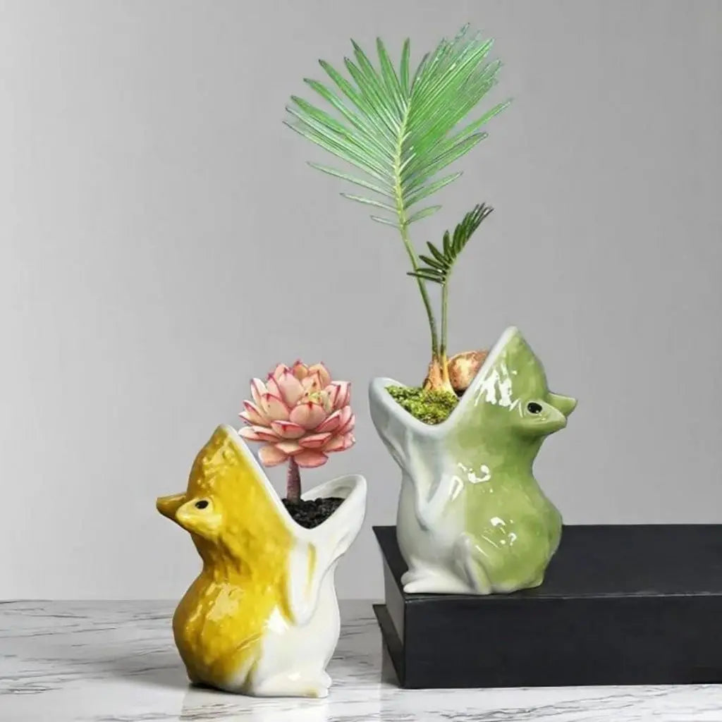 Whimsical Frog Ceramic Plant Holder