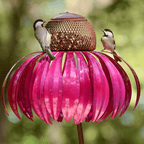 Outdoor Metal Hanging Bird Feeder - Sunflower Design Feeding Bowl