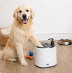 Effortless Paw Cleaning Tool for Dogs