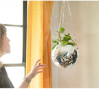 Vibrant Reflective Plant Holder