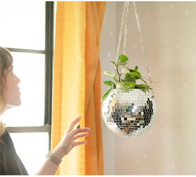 Vibrant Reflective Plant Holder