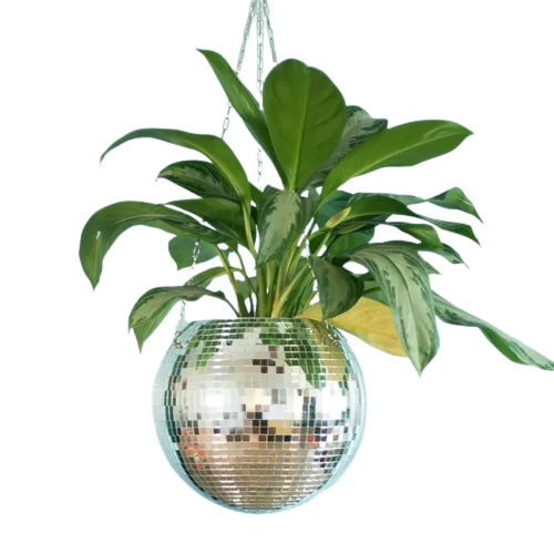 Vibrant Reflective Plant Holder