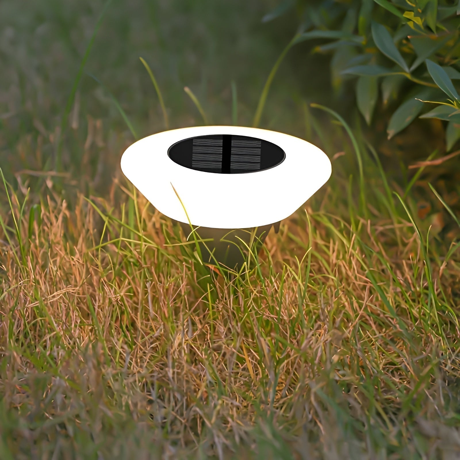LED Pathway Lights with Solar Power for Garden and Walkways