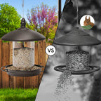 360-Degree Perch Metal Bird Feeder for Simple Refilling and Cleaning