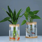 Crystal Clear Hydroponic Display Vase