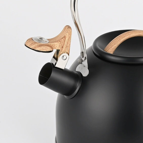 Elegant Stainless Steel Tea Kettle with Whistle