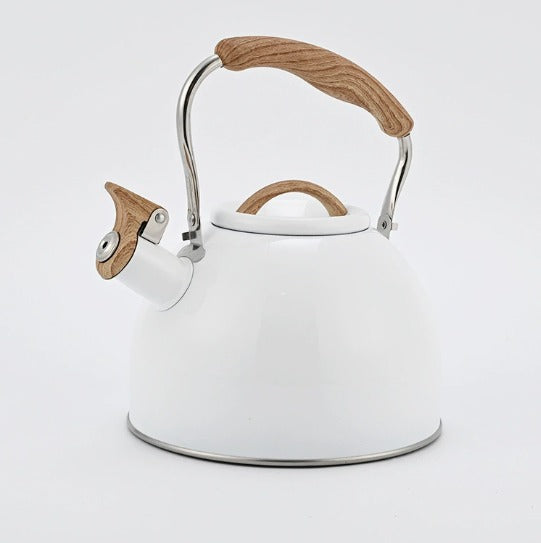 Elegant Stainless Steel Tea Kettle with Whistle