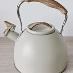 Elegant Stainless Steel Tea Kettle with Whistle
