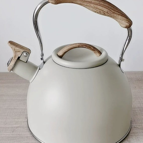 Elegant Stainless Steel Tea Kettle with Whistle