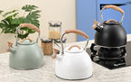 Elegant Stainless Steel Tea Kettle with Whistle