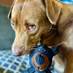 Plush Bear-Shaped Durable Toy for Dogs – Chew Play Accessory