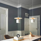 Ceiling Lamp - Minimalist Modern Pendant Light Design