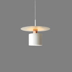 Ceiling Lamp - Minimalist Modern Pendant Light Design